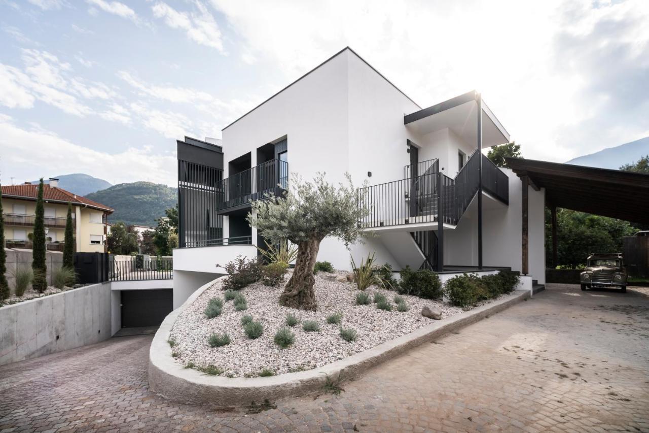 Sambucus Apartments -Premium Apartments For You And Your Dog Lana Exteriér fotografie